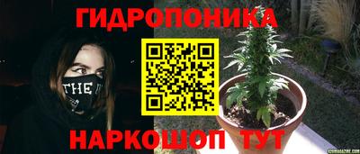 гидра Кунгур