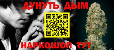 шишки Краснодар